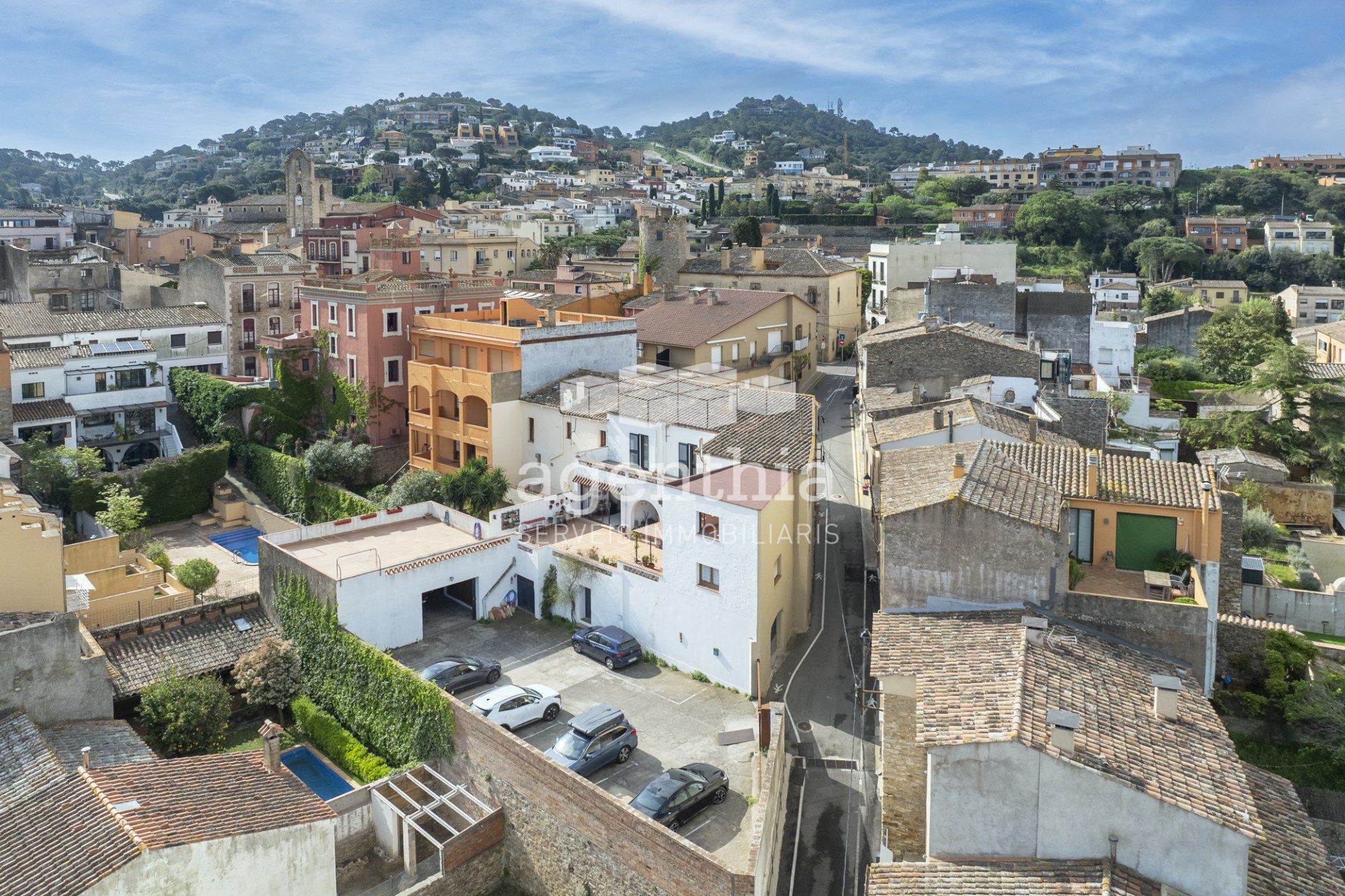 Agenthia