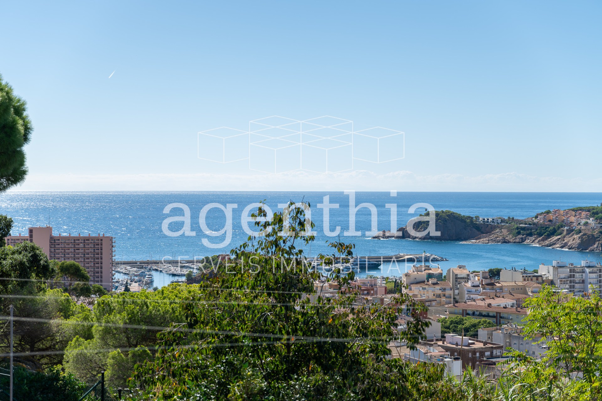 Agenthia