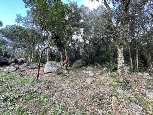 Agenthia