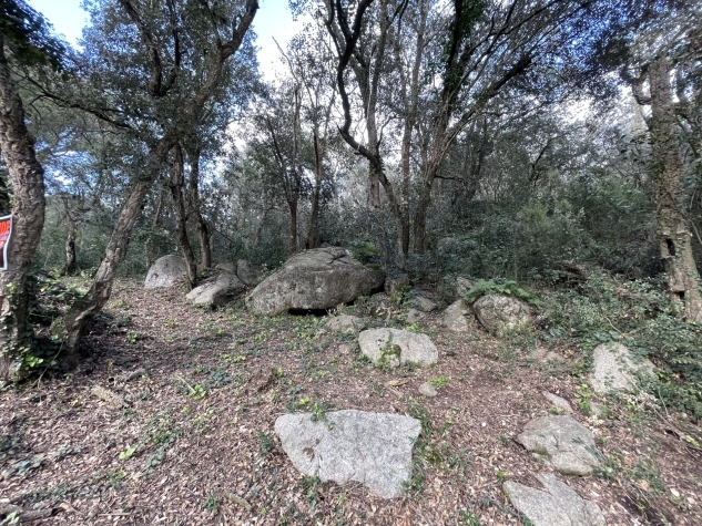 Agenthia