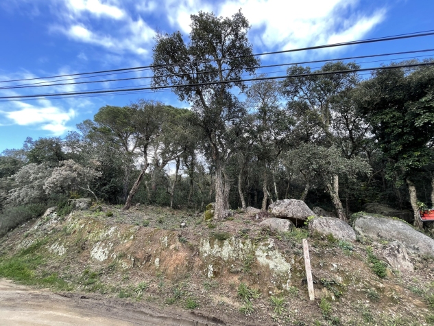 Agenthia