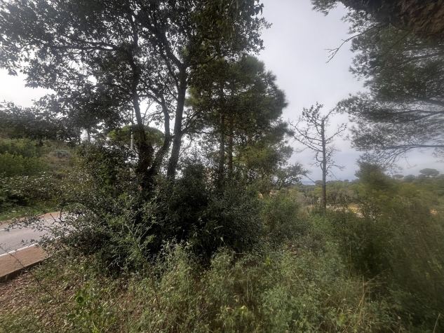 Agenthia