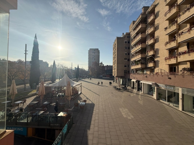 Agenthia