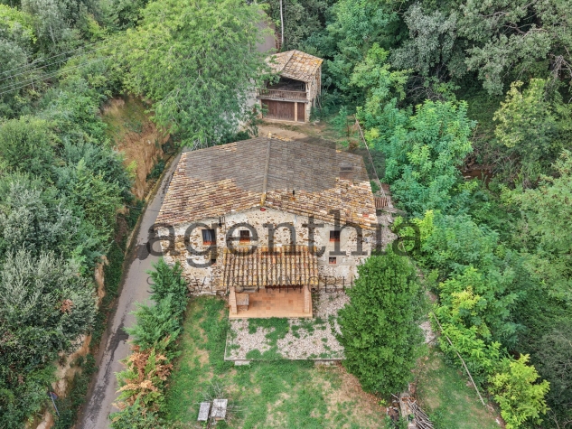 Agenthia